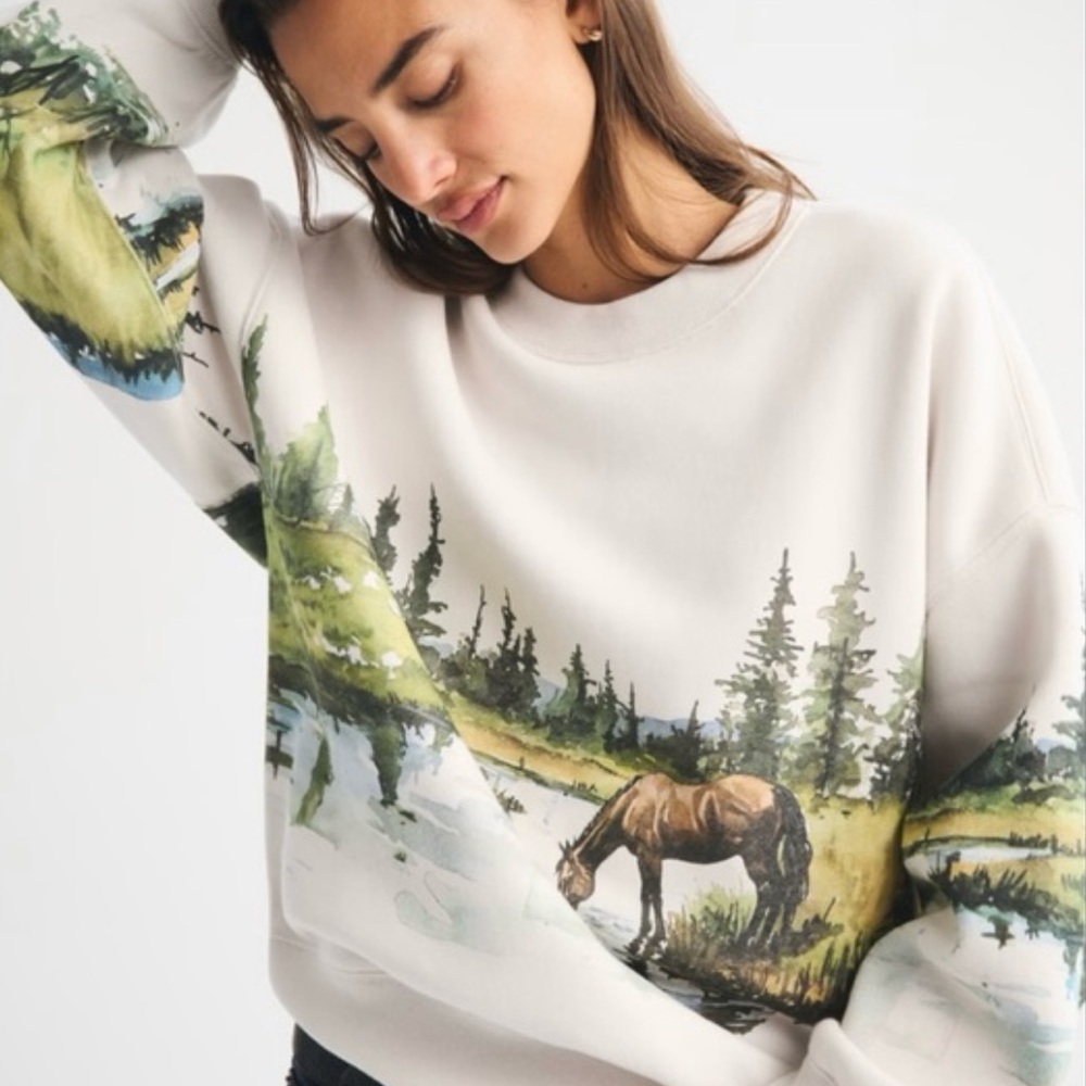 A&F Oversized horse Sweatshirt